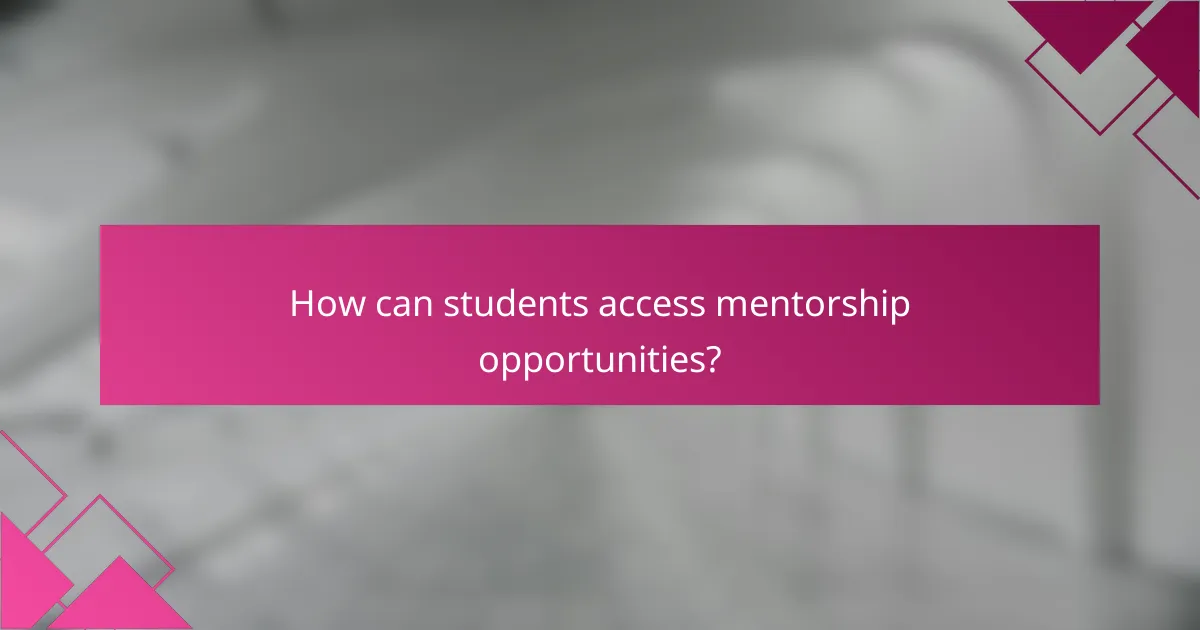 How can students access mentorship opportunities?