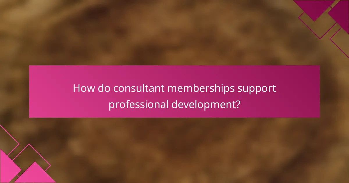 How do consultant memberships support professional development?