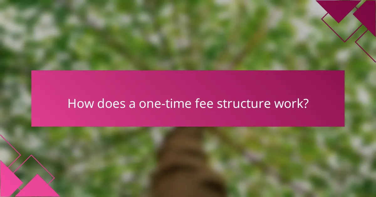How does a one-time fee structure work?