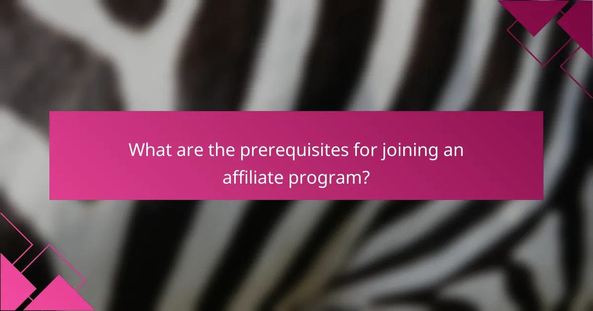 What are the prerequisites for joining an affiliate program?