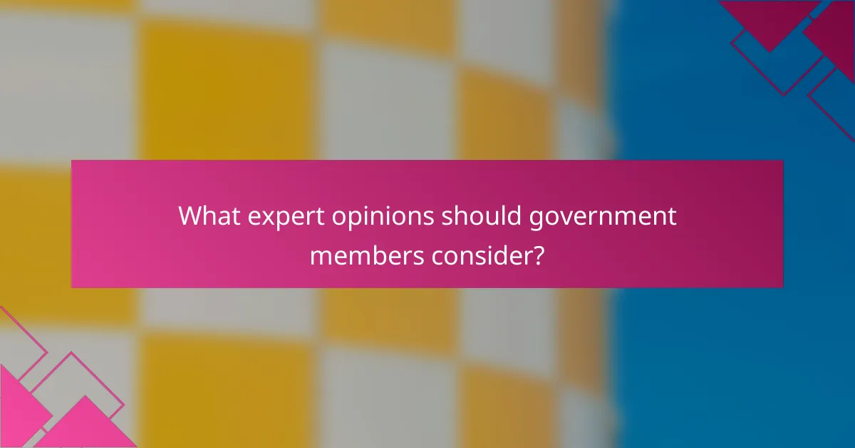 What expert opinions should government members consider?