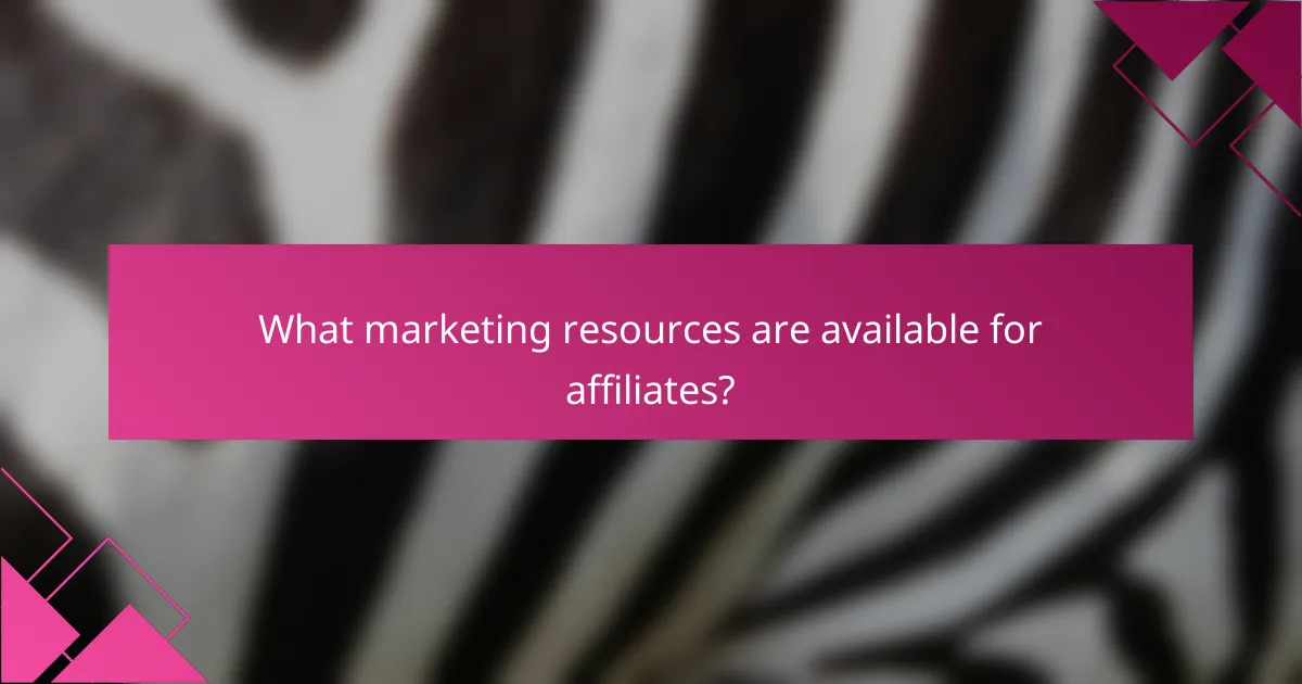 What marketing resources are available for affiliates?