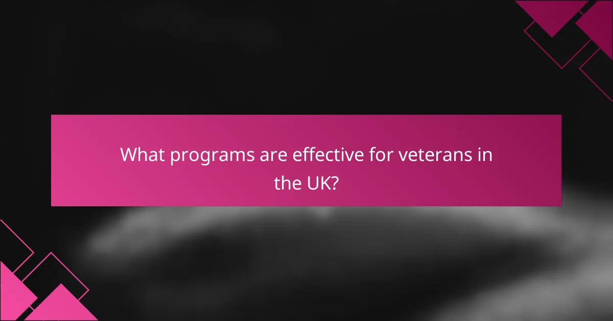 What programs are effective for veterans in the UK?